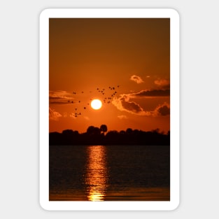 Sunset in Florida Sticker